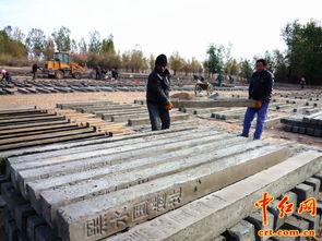 甘州區(qū)黑水國(guó)遺址保護(hù)設(shè)施建設(shè)加速推進(jìn)，歷史文化傳承與工程進(jìn)度并重